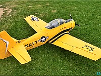 R-DJI 0004